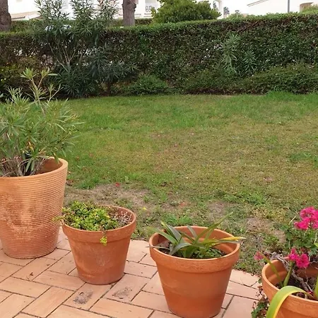 בית נופש Oasis Parque 98 *